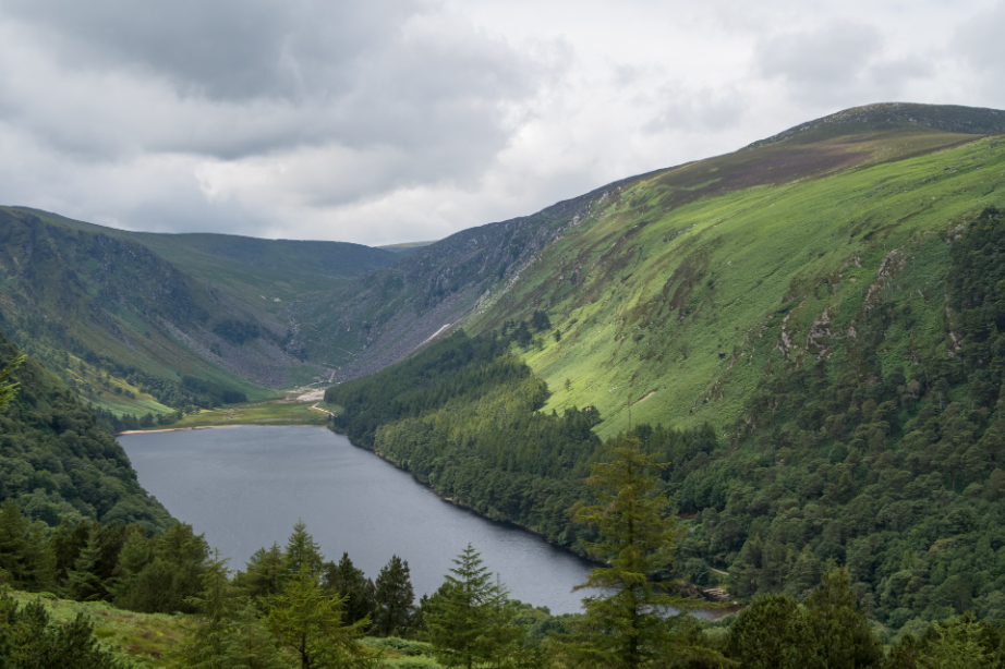 Wicklow Mountains National Park, County Wicklow, Ireland